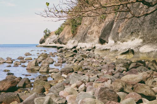 在海灘的岩石, 岩層, 岩石 的 免費圖庫相片