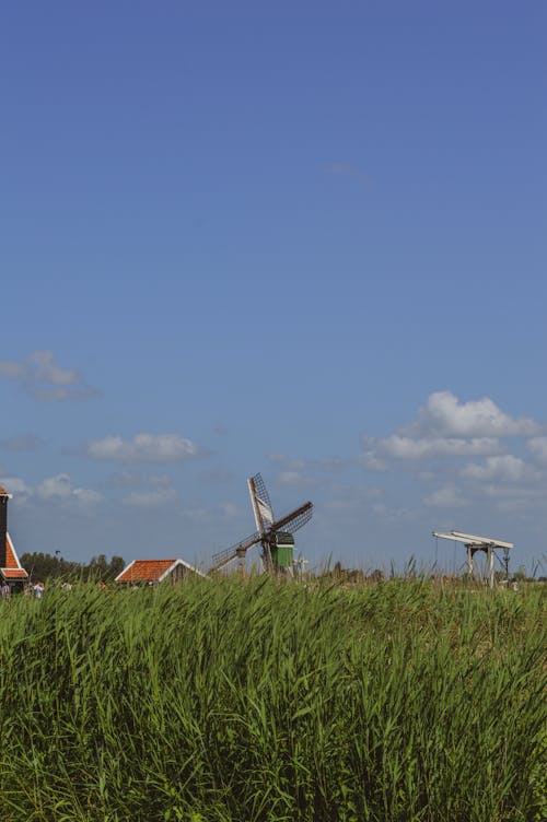 Foto stok gratis bidang, kincir angin, langit