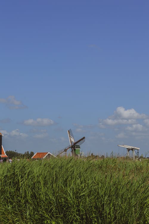 Photos gratuites de campagne, ciel, clairière