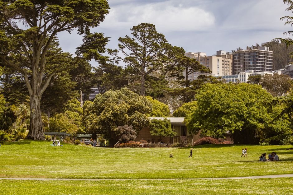 How to level a bumpy, ankle-breaking lawn — step-by-step reference media