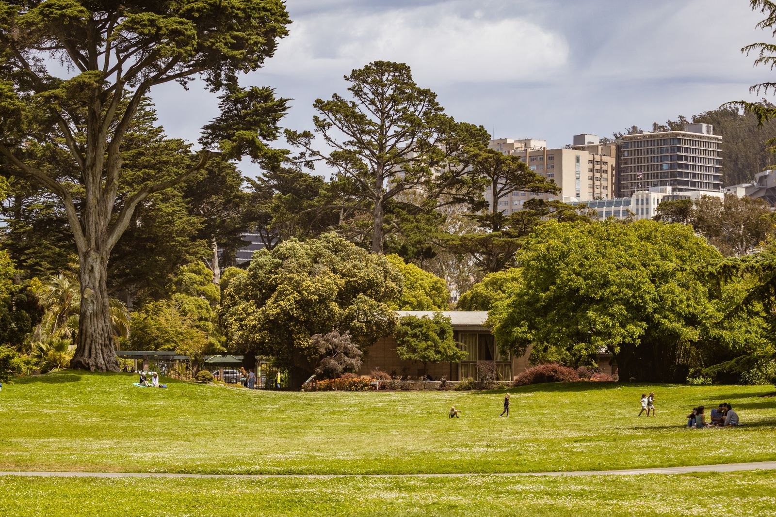 Lush green park with people relaxing, city buildings behind — photo by Robert So on Pexels