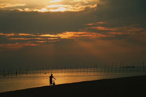 人, 在海灘的人, 日落 的 免費圖庫相片