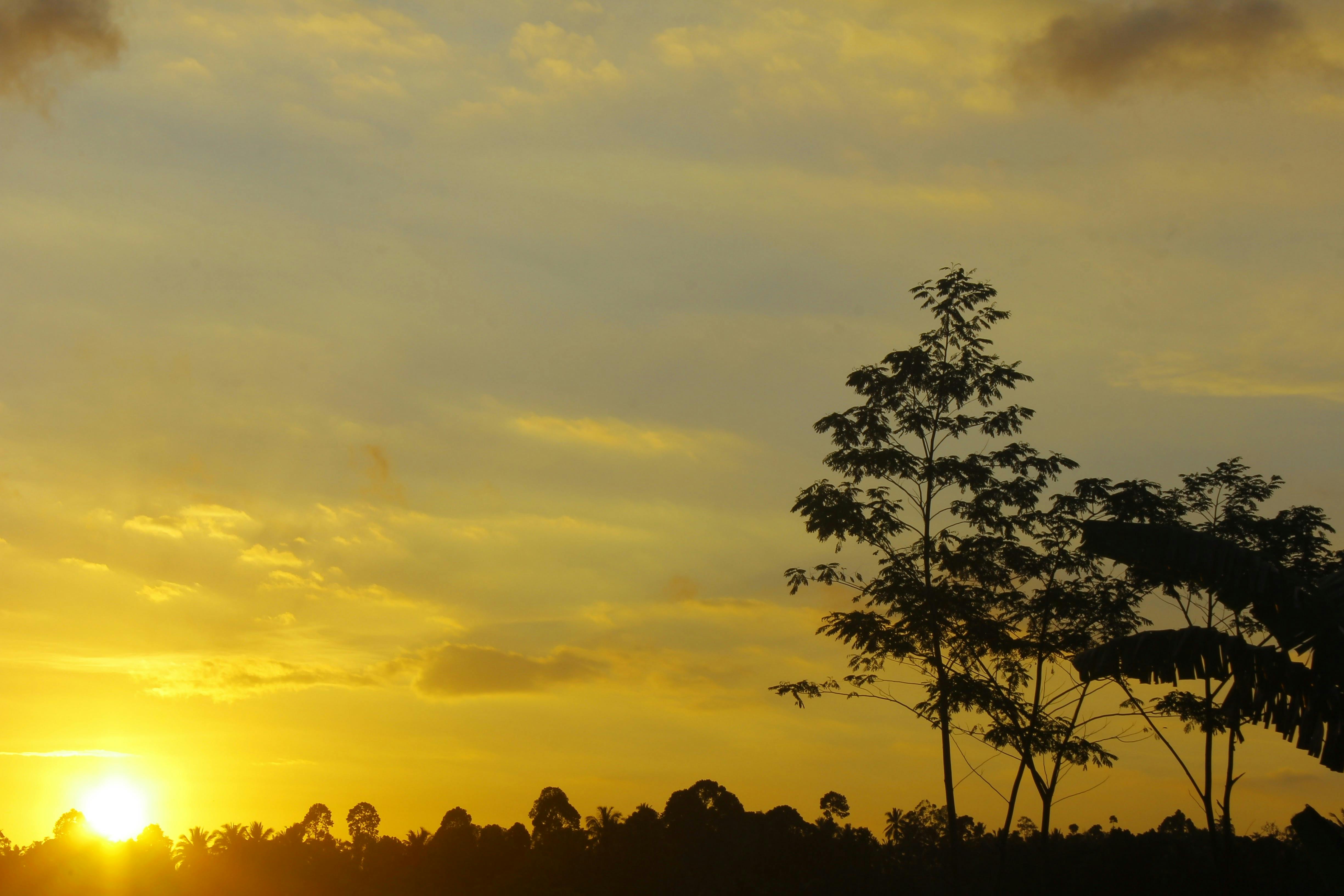 Free stock photo of early morning, Good Morning, HD wallpaper