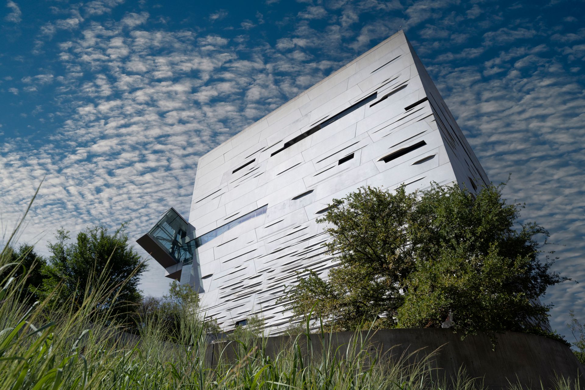 Teresa Lanceta Selected for Meadows / ARCO Artist Spotlight at Meadows Museum