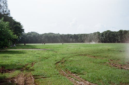 Kostenloses Stock Foto zu grüne bäume, grünes gras, menschen