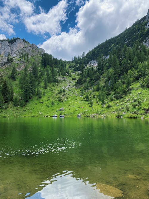 Green Trees on Mountains near Lake