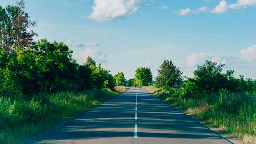 Free Peaceful countryside road lined with vibrant green trees under a blue sky. Stock Photo