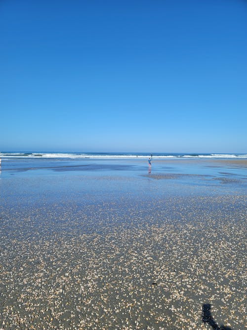 Ilmainen kuvapankkikuva tunnisteilla aallot, hiekkaranta, simpukankuoret
