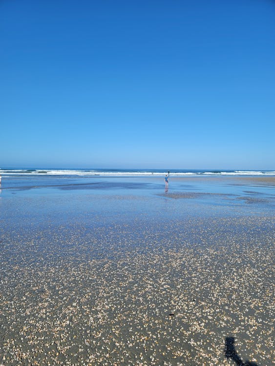 Free stock photo of beach, blue, ocean