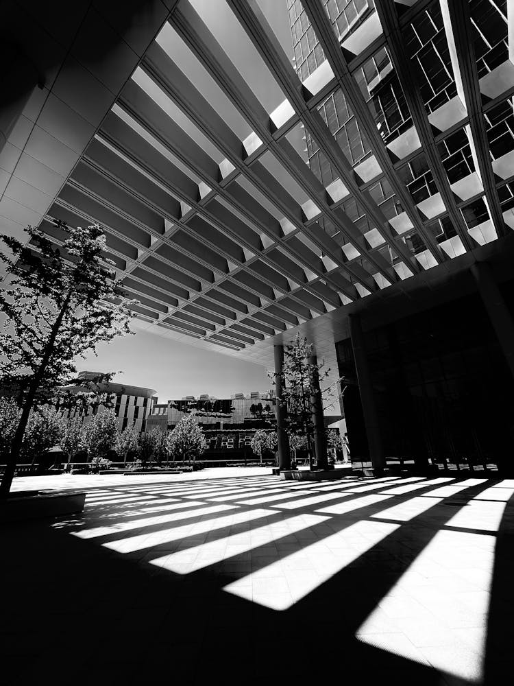 Sunlight And Shadows Near Building