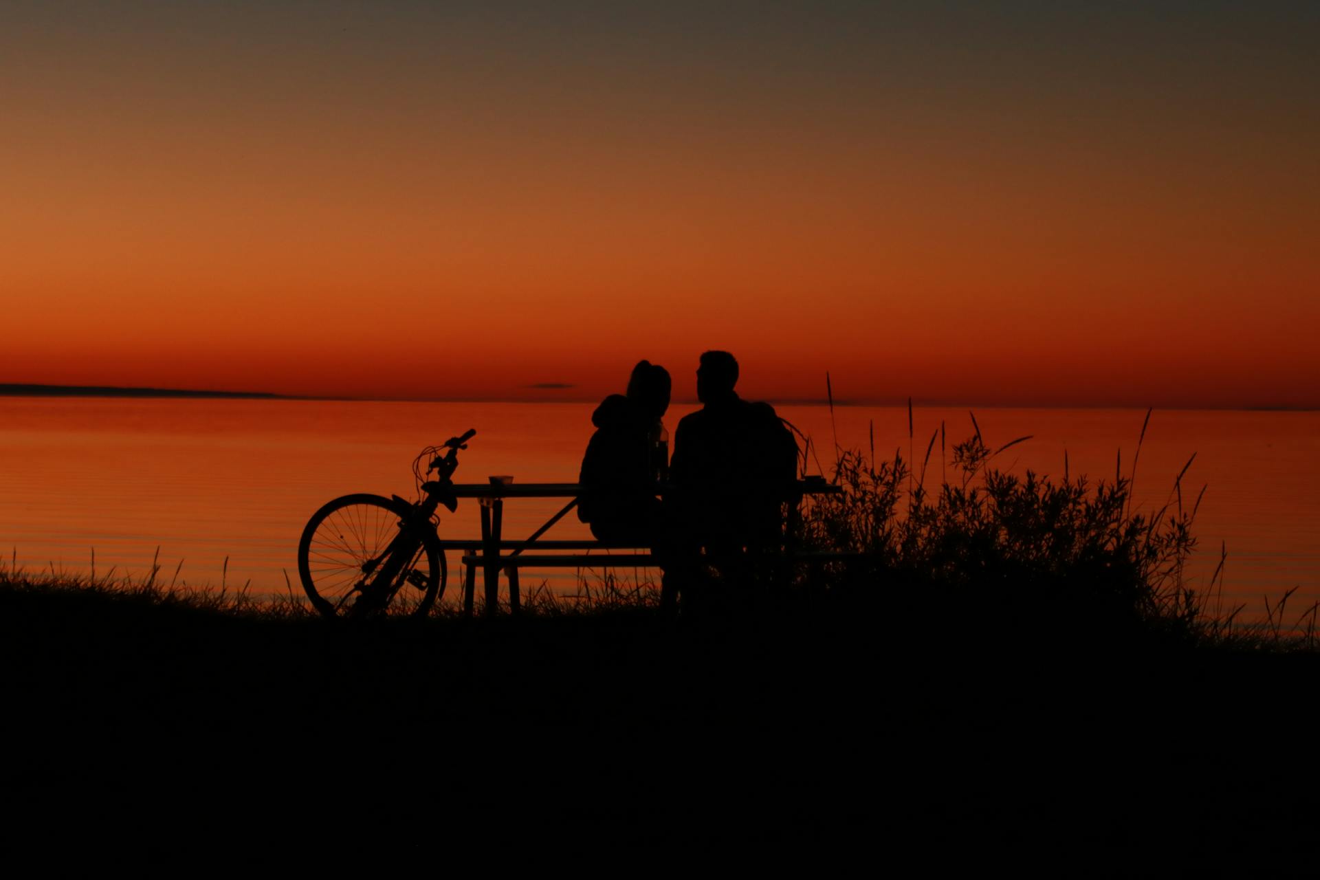 Silhouette of People Riding Bicycle during Sunset