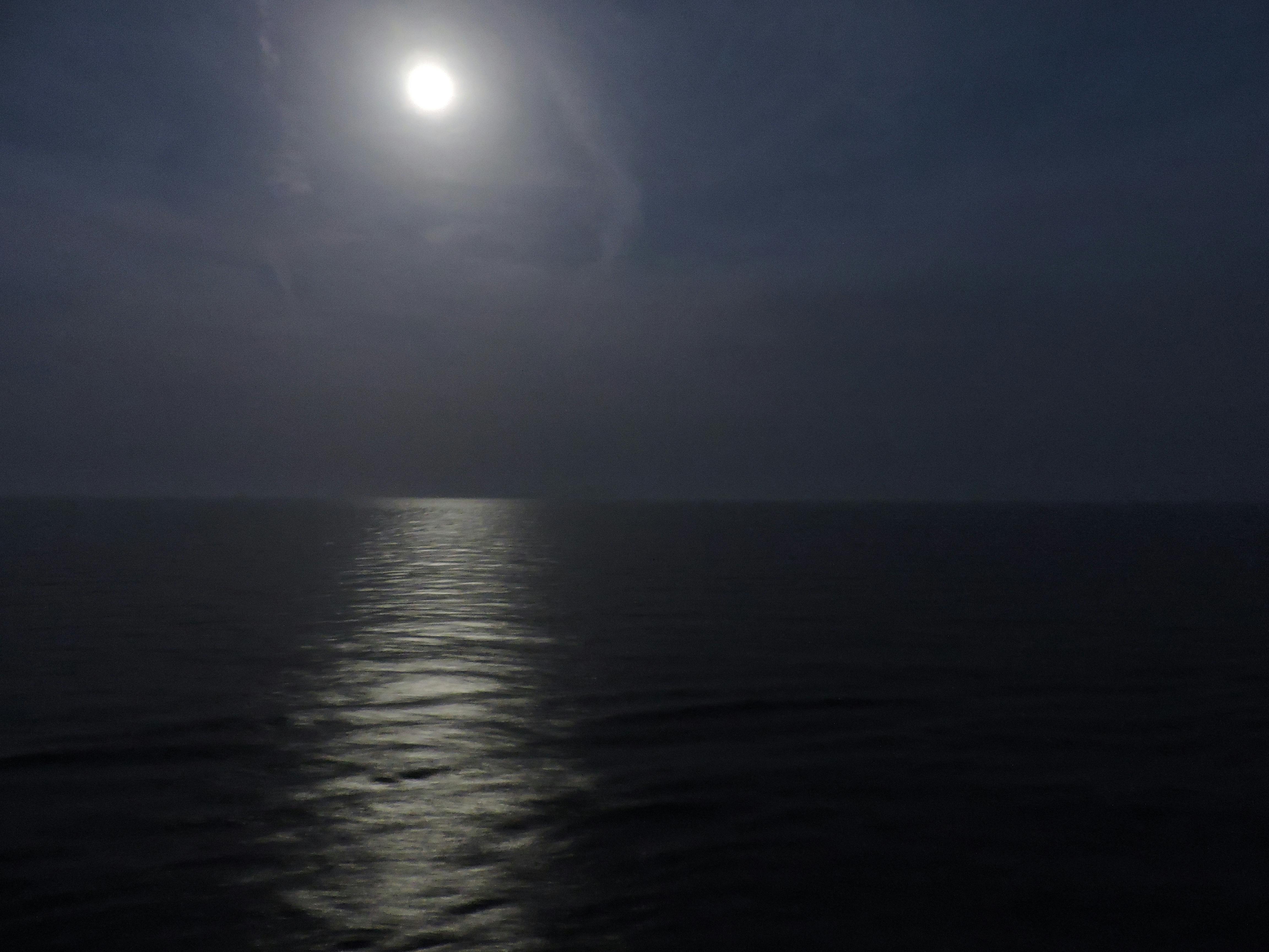 Free stock photo of full moon, moon, sea