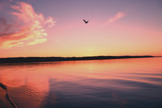 A scenic sunset view over Jönköping, Sweden with a bird in flight above calm water.