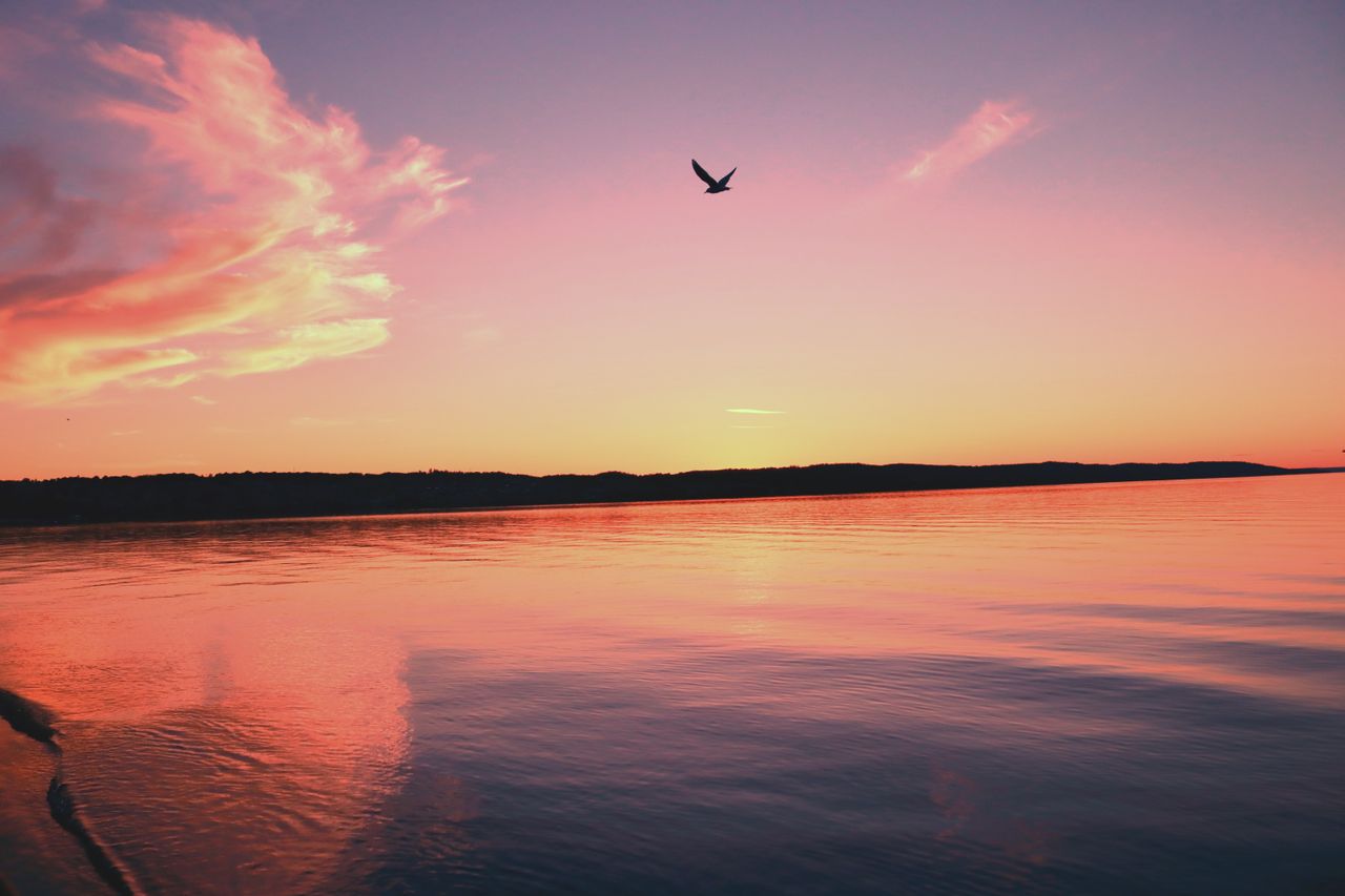 a scenic sunset view over j nk ping sweden with a bird in flight above