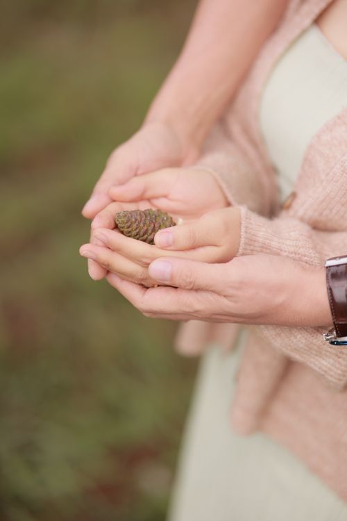 Free Close-up of hands holding a pine cone, symbolizing bonding in nature. Stock Photo