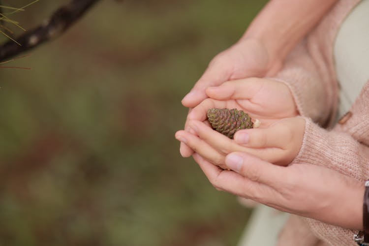 Close-up Of Hands Of A Child And An Adult Holding A Cone 