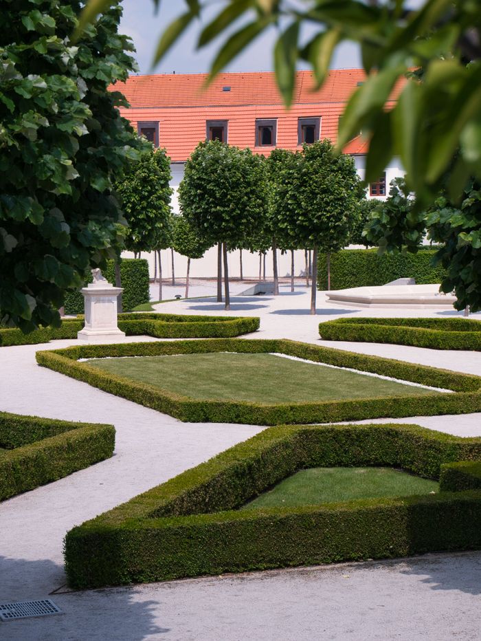 Neatly trimmed formal garden hedges