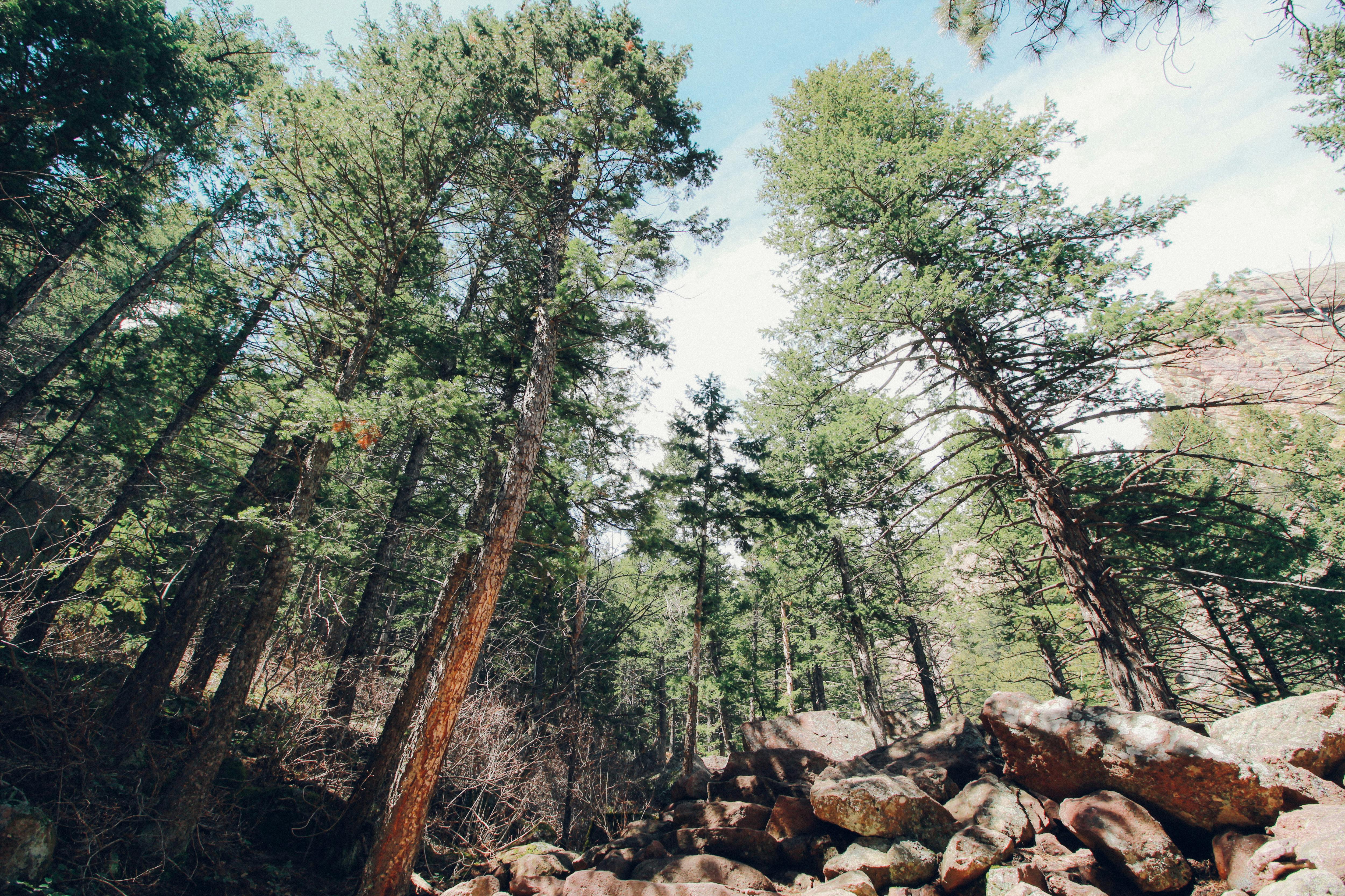 Free stock photo of camping, canopy, colorado