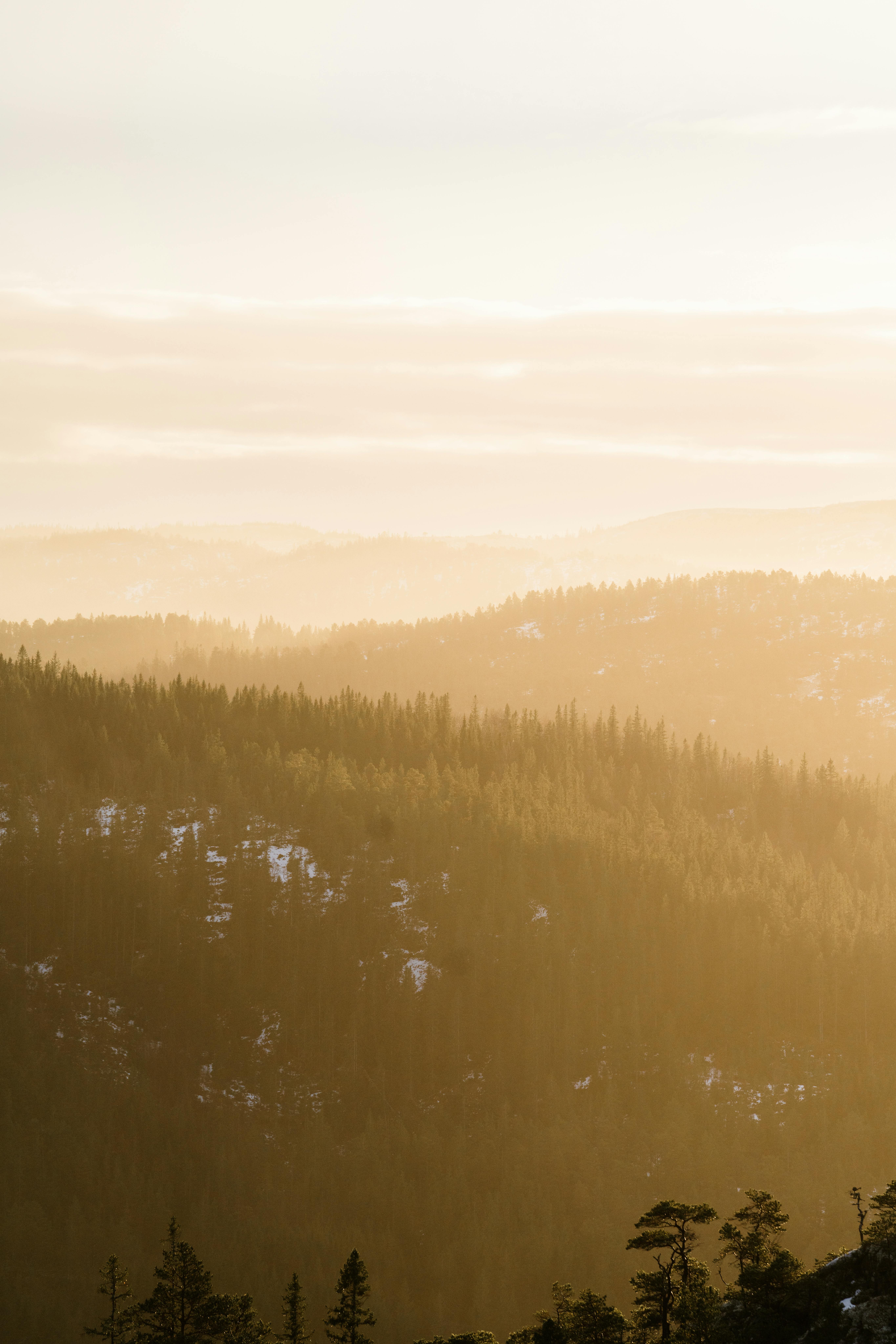 Breathtaking sunrise over foggy mountains in Norway, offering a serene landscape view.