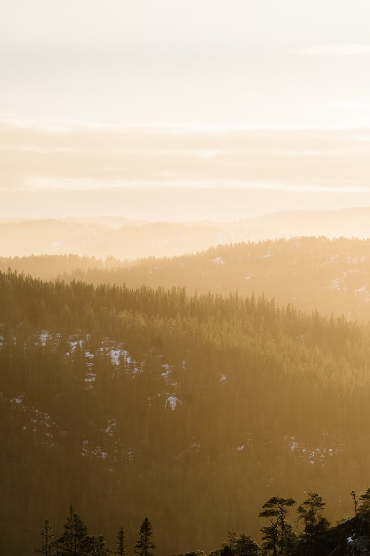 Landscape Of Mountains At Sunrise 