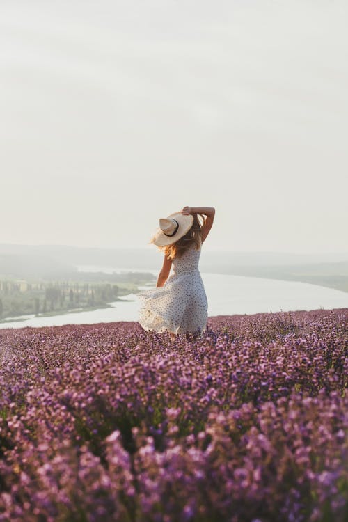 Free Woman in Hat on Meadow with Flowers Stock Photo