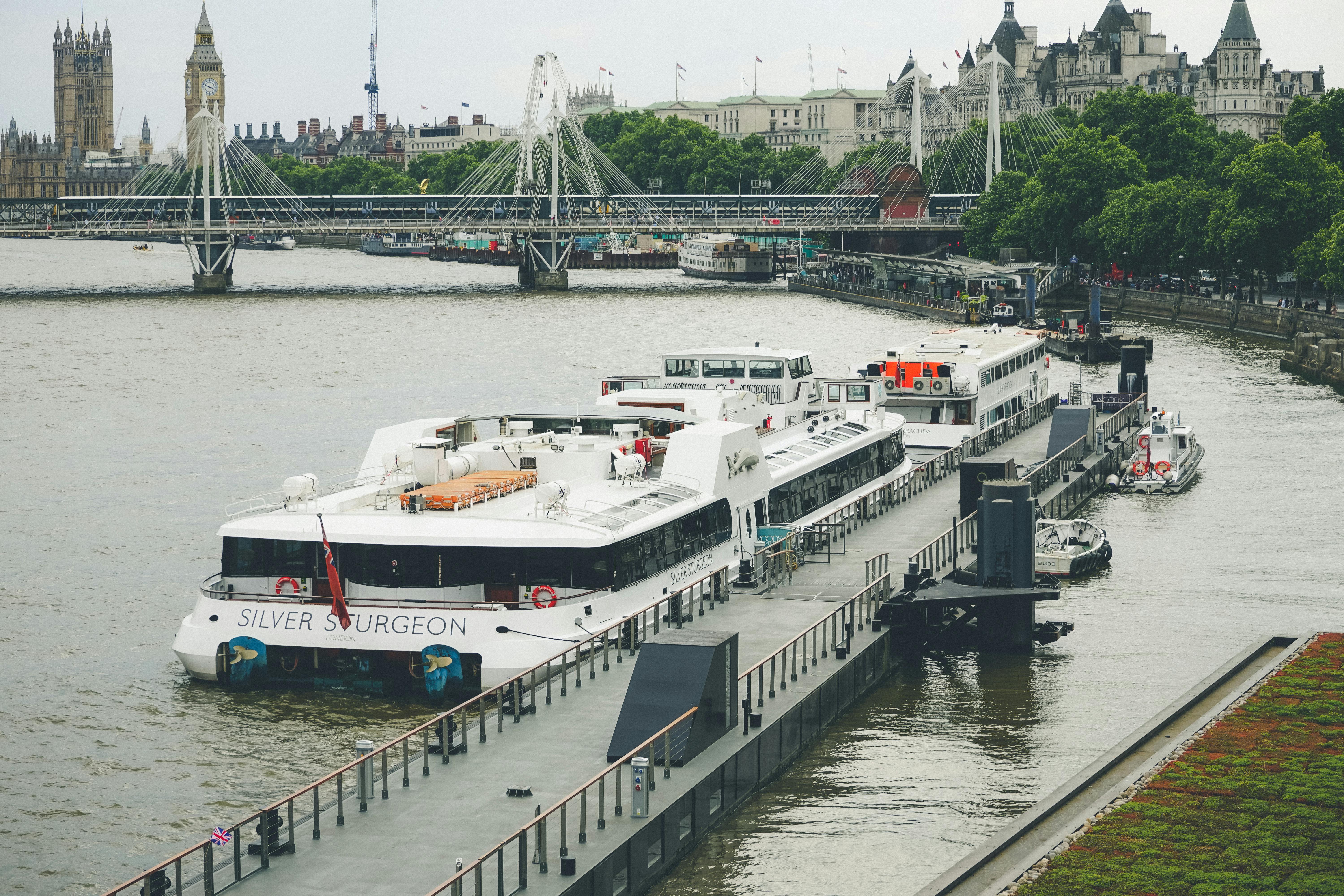 London Sightseeing Cruise: Experience the City from the Thames