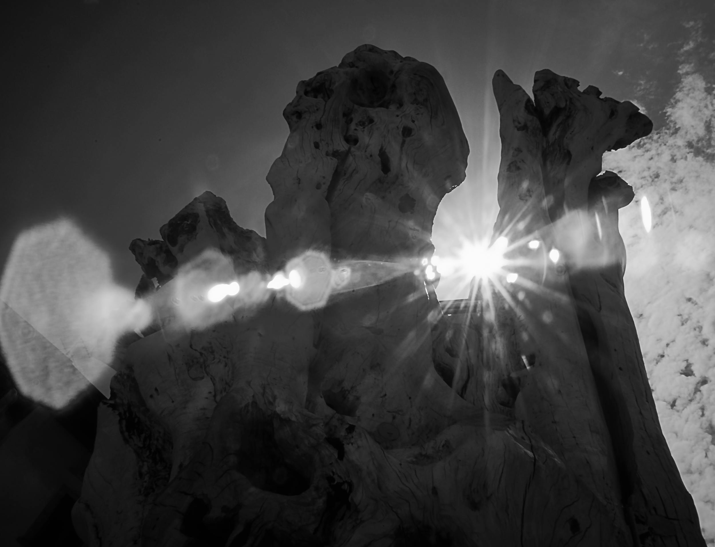 Peter Fenner - Fotografía