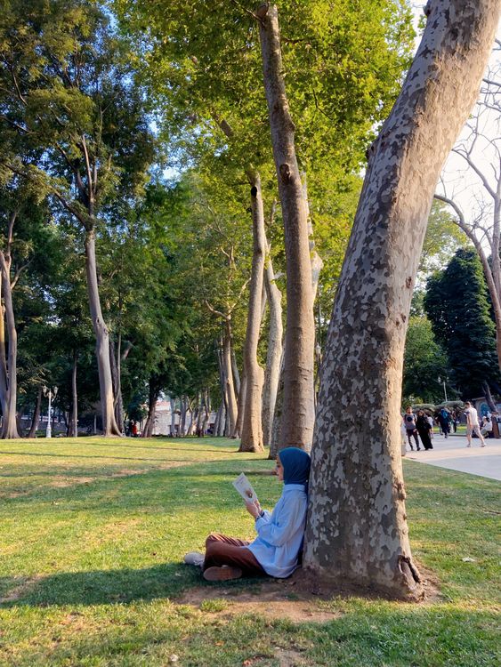 A Woman Reading a Book Under the Tree · Free Stock Photo