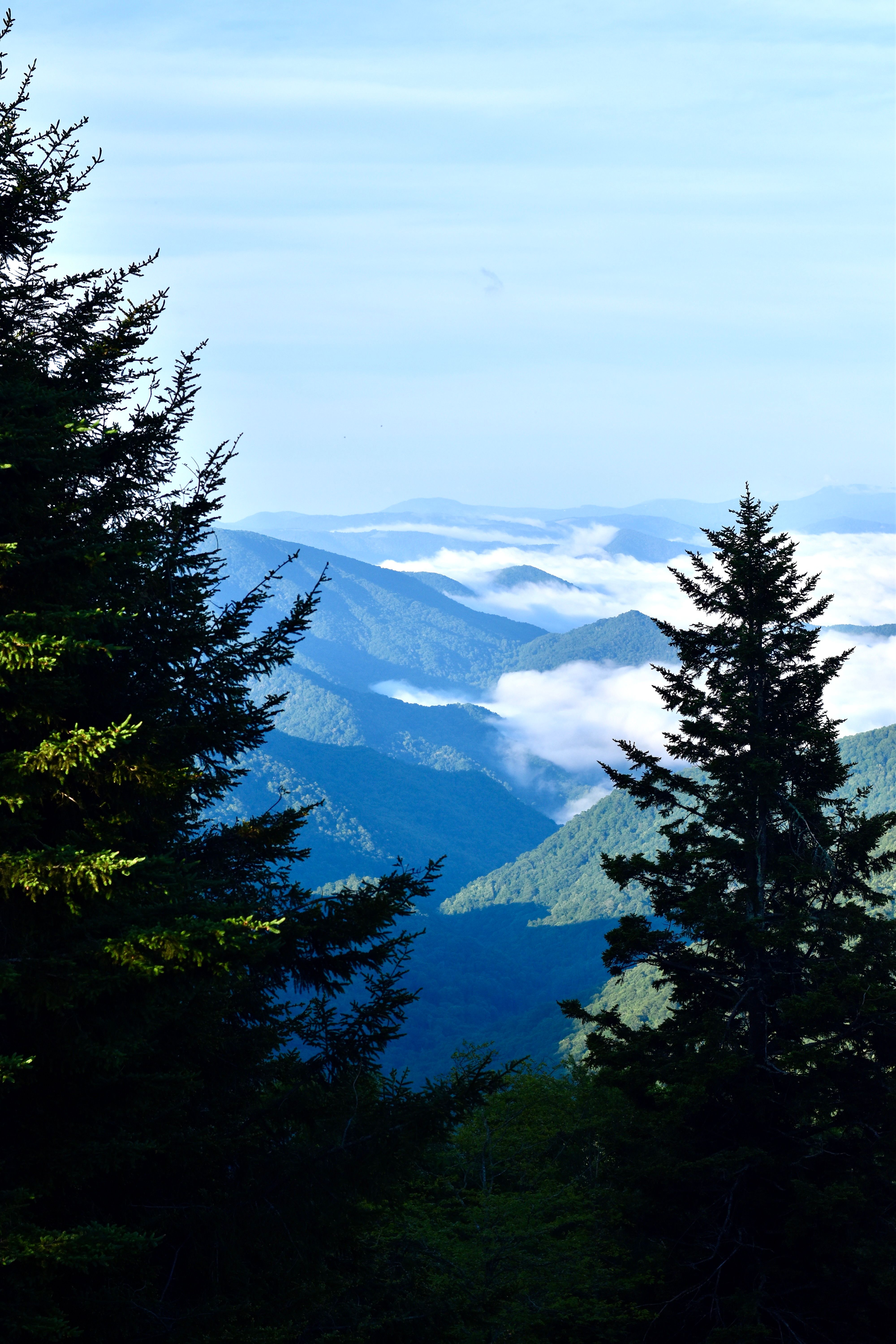 LeConte Lodge