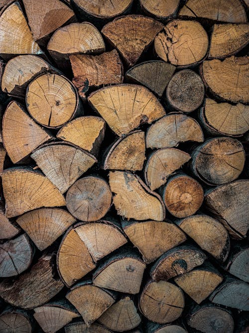 Gratis stockfoto met brandhout, detailopname, gehakt hout Stockfoto