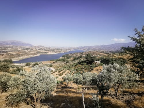 Kostenloses Stock Foto zu aussicht, bäume, bereich