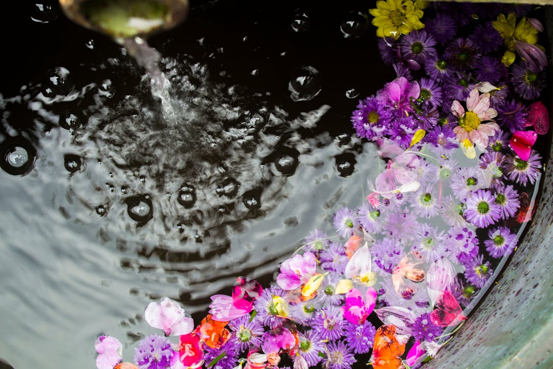 Flowers Floating on Water