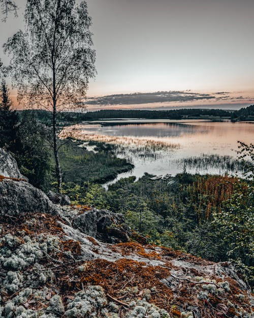 Gray Sky over Body of Water