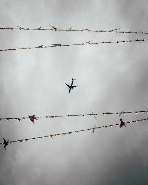 Foto profissional grátis de aeronave, cordão de lâmpadas, liberdade