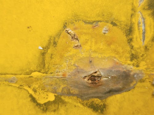 Бесплатное стоковое фото с абстрактный, желтый, живопись
