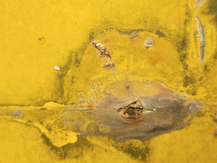 Abstact Painting In Yellow