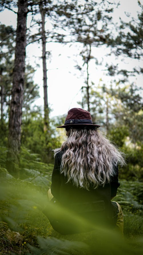 Gratis stockfoto met achteraanzicht, bladeren, bomen