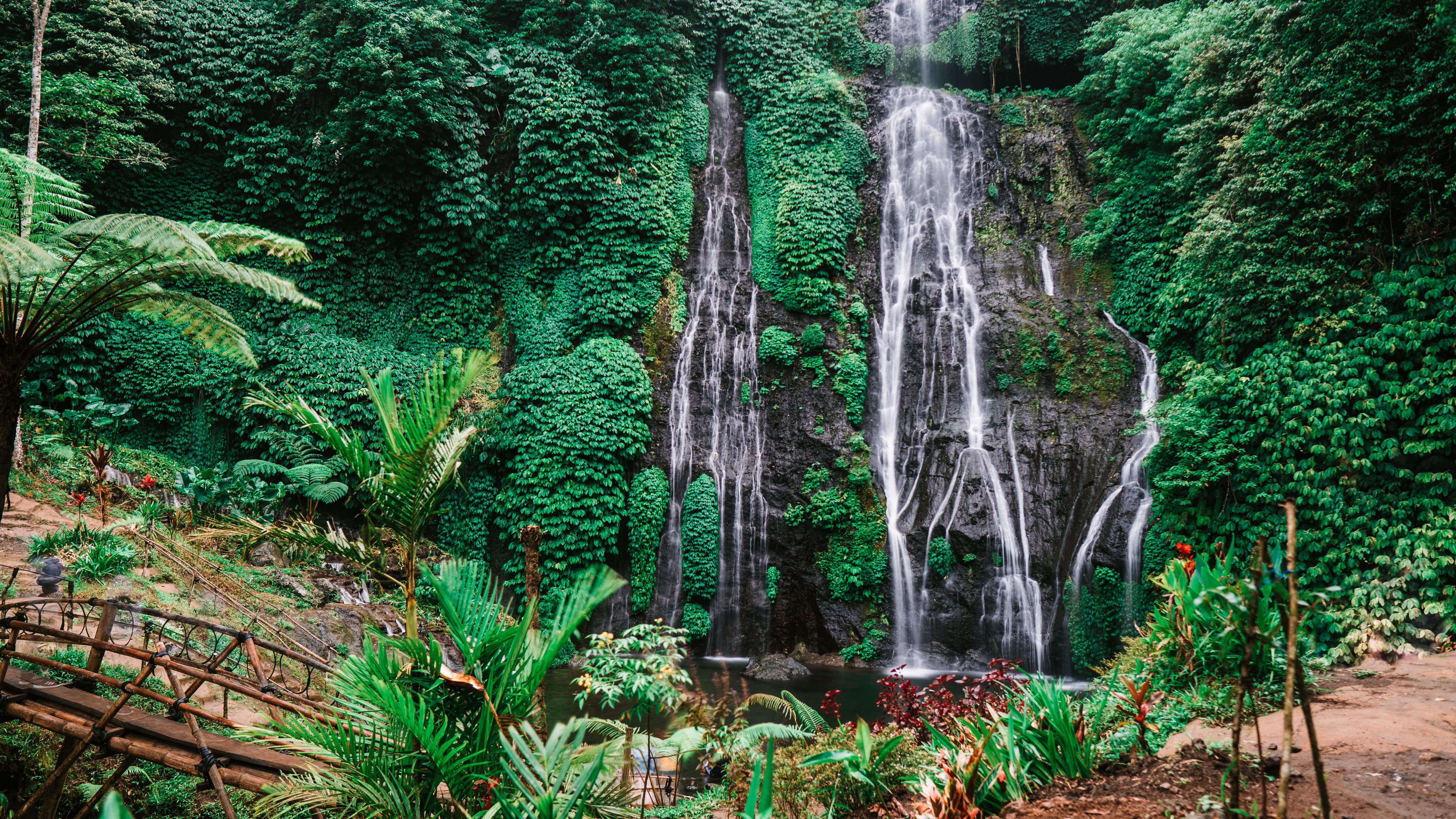 Naturaleza pura