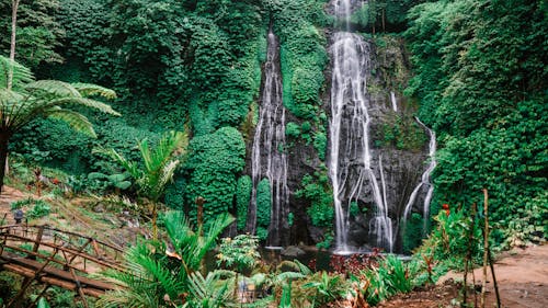 Foto stok gratis air terjun, dedaunan yang subur, jembatan kaki