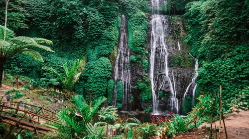 Free Stunning waterfall cascading in a vibrant jungle setting with lush greenery. Stock Photo