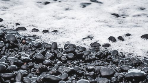 Free Close-up of smooth black pebbles on a beach with gentle waves and sea foam under overcast sky. Stock Photo