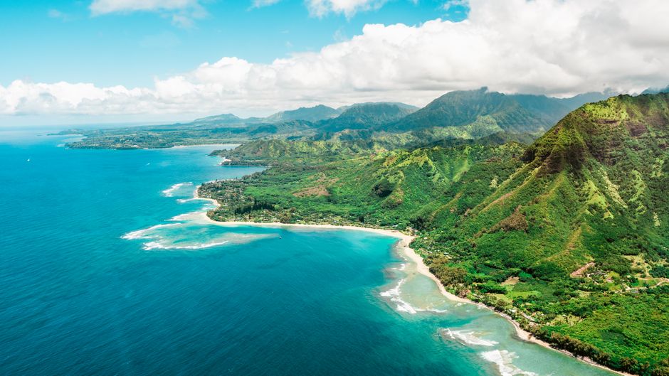 Air Kauai: Ohana (doors-ON) Helicopter Tour - A picturesque aerial shot of a lush, tropical coastline with vibrant greenery and blue ocean.