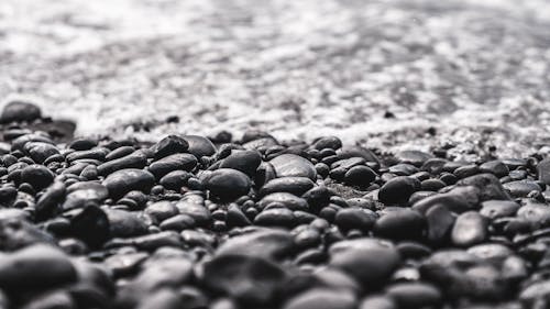 Fotos de stock gratuitas de agua, blanco y negro, chinas