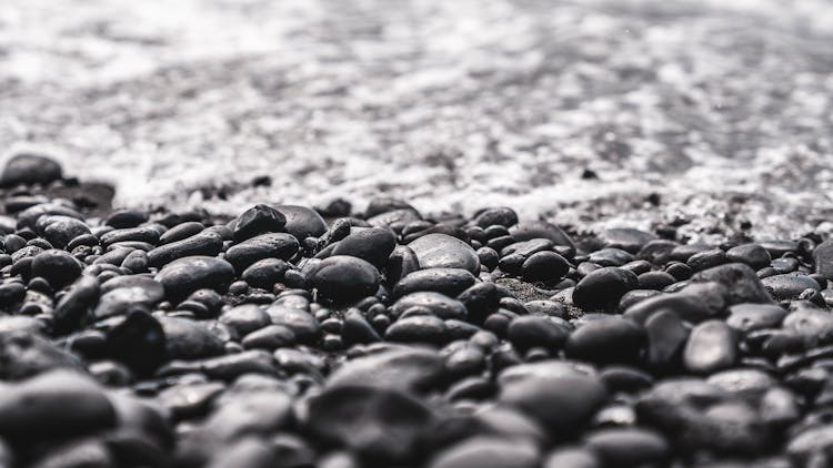 Pebbles Near Water In Black And White