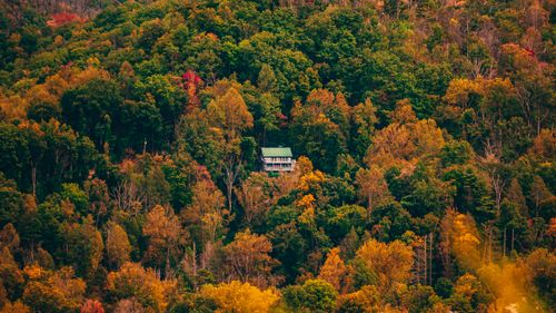 Free Solitary cabin surrounded by lush autumn foliage on a forested mountain slope. Stock Photo