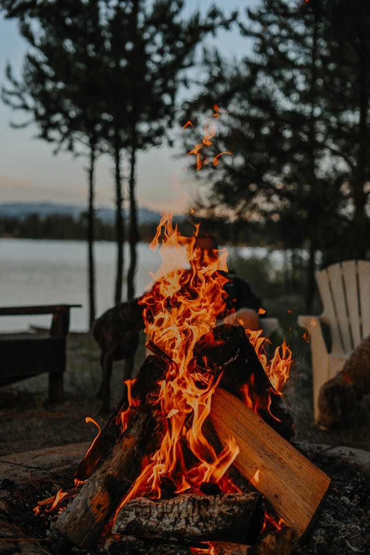 Photograph Of A Campfire