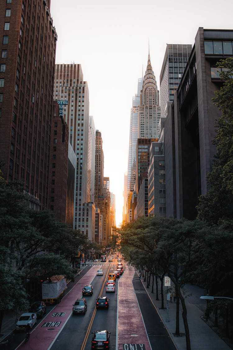 Dawn In New York City