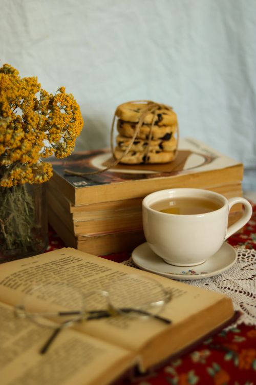 Free Warm and inviting reading nook with books, tea, cookies, and flowers. Stock Photo