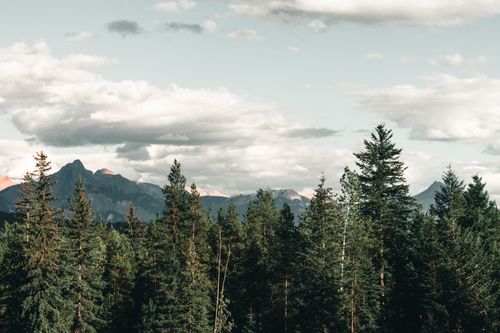 Free Breathtaking view of mountains and forest in Golden, BC, Canada under a cloudy sky. Stock Photo