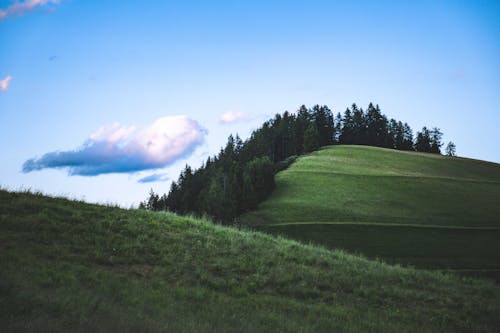 Green Hills against Blue Sky